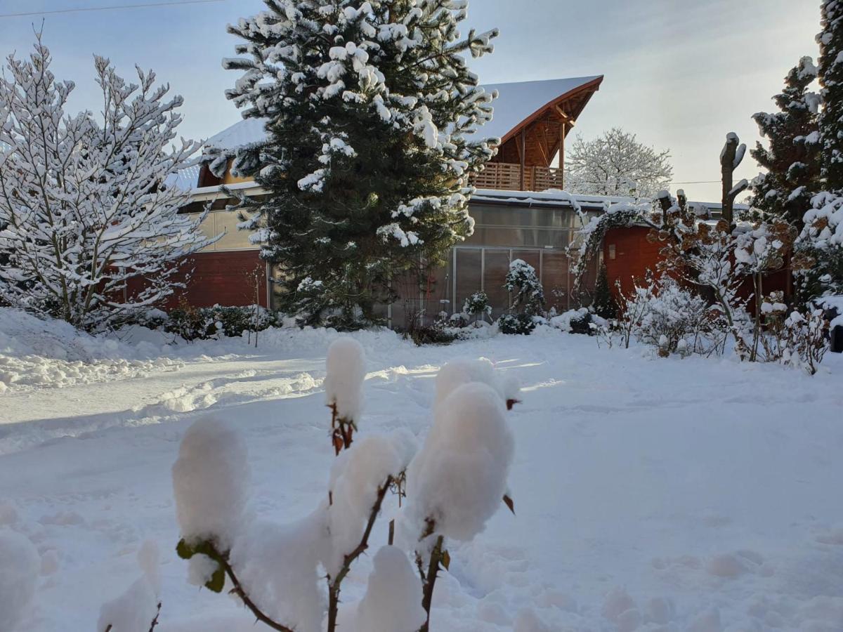 Penzion Areal Zamma Rožňava Exteriér fotografie
